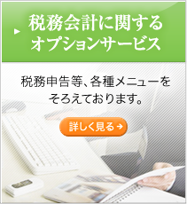 税務会計に関するオプションサービス